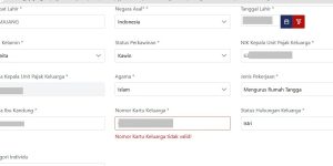 nomor kartu keluarga tidak valid saat membuat NPWP istri di coretax